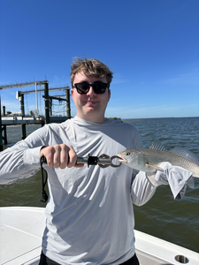 Nice redfish using heavy and light tackle at Burnt Store Boat Ramp under clear conditions!