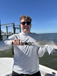 Nice redfish caught using heavy and light tackle at Burnt Store Boat Ramp today!