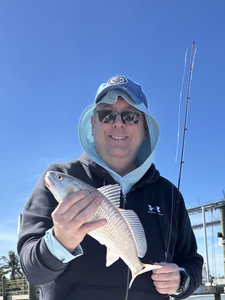 Nice redfish caught using heavy and light tackle in Cape Coral today!