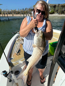 Nice redfish caught using heavy and light tackle in Cape Coral's productive waters.