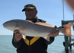 Redfish caught while fishing in FL