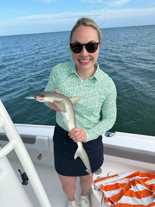 Epic shark catch in Cape Coral waters!