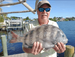 Sheepshead fish caught in FL