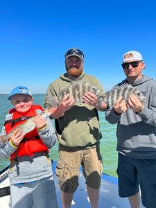 Three sheepshead fish caught in FL
