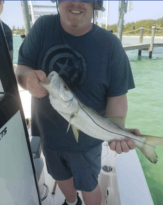 Angler catches a snook fish in Cape Coral