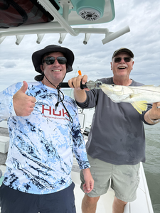 Beautiful Cape Coral snook ready for the photo!