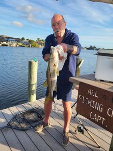 Snook fish caught while fishing in Cape Coral