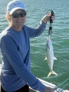 Fresh Spanish mackerel caught in Cape Coral waters!