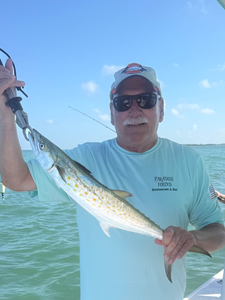 Cape Coral Spanish mackerel makes for great fishing!