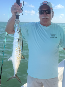 Beautiful Cape Coral Spanish Mackerel brought to the boat!