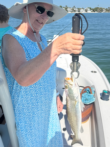 Cape Coral speckled trout ready for the scale!