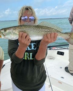 Spotted Weakfish caught in Cape Coral