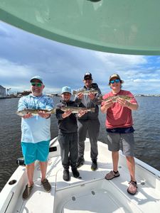 Two spotted weakfish fish caught at Cape Coral