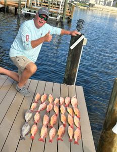 A photo of a white grunt, a 6-inch fish, caught while fishing in Cape Coral.