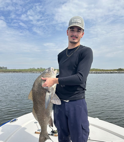 Angler holding a large black drum fish caught in LA