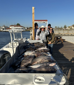 Four people fishing in LA