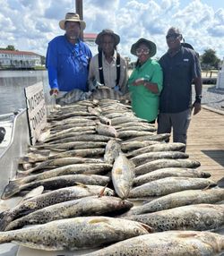 Three fish caught while fishing in LA