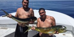 Vibrant Mahi-mahi Capture In Miami Beach, FL