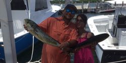 Vibrant Mahi-mahi Captured In Miami Beach, FL