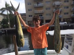 Mahi-mahi Triumph In Miami Beach, FL
