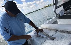 Fishing in FL, best fishing spots