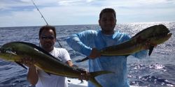 Miami Beach Mahi-mahi Bounty