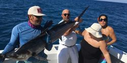 Miami Sailfish Spectacle
