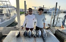 Four fish caught while fishing in Florida