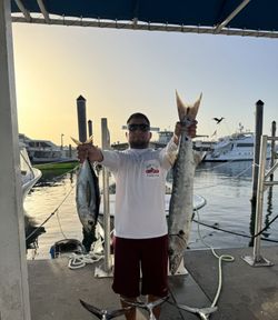 Two king mackerel and blackfin tuna caught by angler in Miami Beach