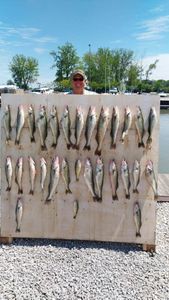 Adventure-Packed Cruises and Fishing Tours in Port Clinton
