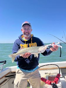 Sauger caught during fishing charter in Port Clinton OH