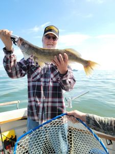 Walleye fishing charter catch displayed on boat in Port Clinton OH