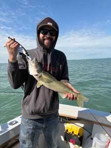 Walleye caught during fishing charter in Port Clinton OH