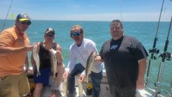 Successful walleye fishing trip in Port Clinton OH with fresh catch displayed on boat