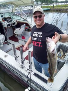 Successful walleye fishing trip on boat in Port Clinton OH marina