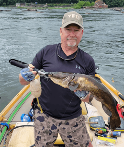 Angler holding a fish in Leesburg