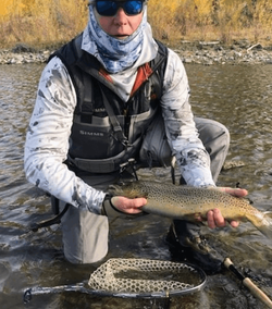 A rainbow trout caught while fishing in VA