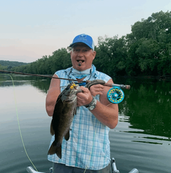 Smallmouth Bass caught in Leesburg