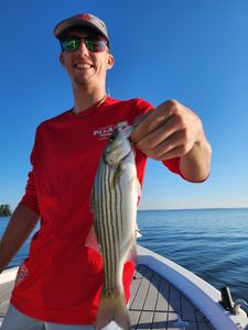 South Carolina's top fishing hotspots!