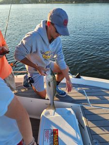 SC’s best fishing: striped bass