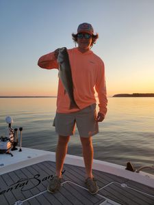 Fishing for big stripers in SC waters!