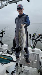 Smile, It's Striped Bass Time in SC!
