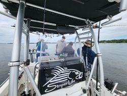 A Striped bass escapade - South Carolina's fishing