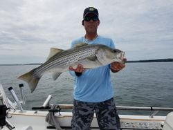 Striped Bass: The King of Carolina Waters