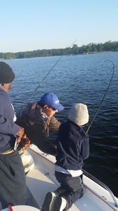 Stay updated: Lake Russell fishing report