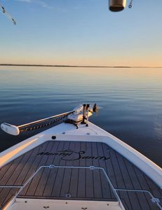 Unravel the mystery - Striped bass fishing in SC!
