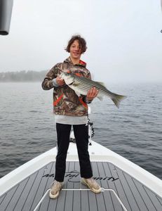 Angler catches a striped bass in Lexington