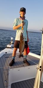 Catching a giant blue catfish in SC