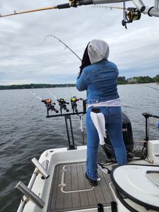 Fishermen with rods enjoying a day of fishing in Lexington
