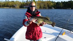 Largemouth Bass caught in SC
